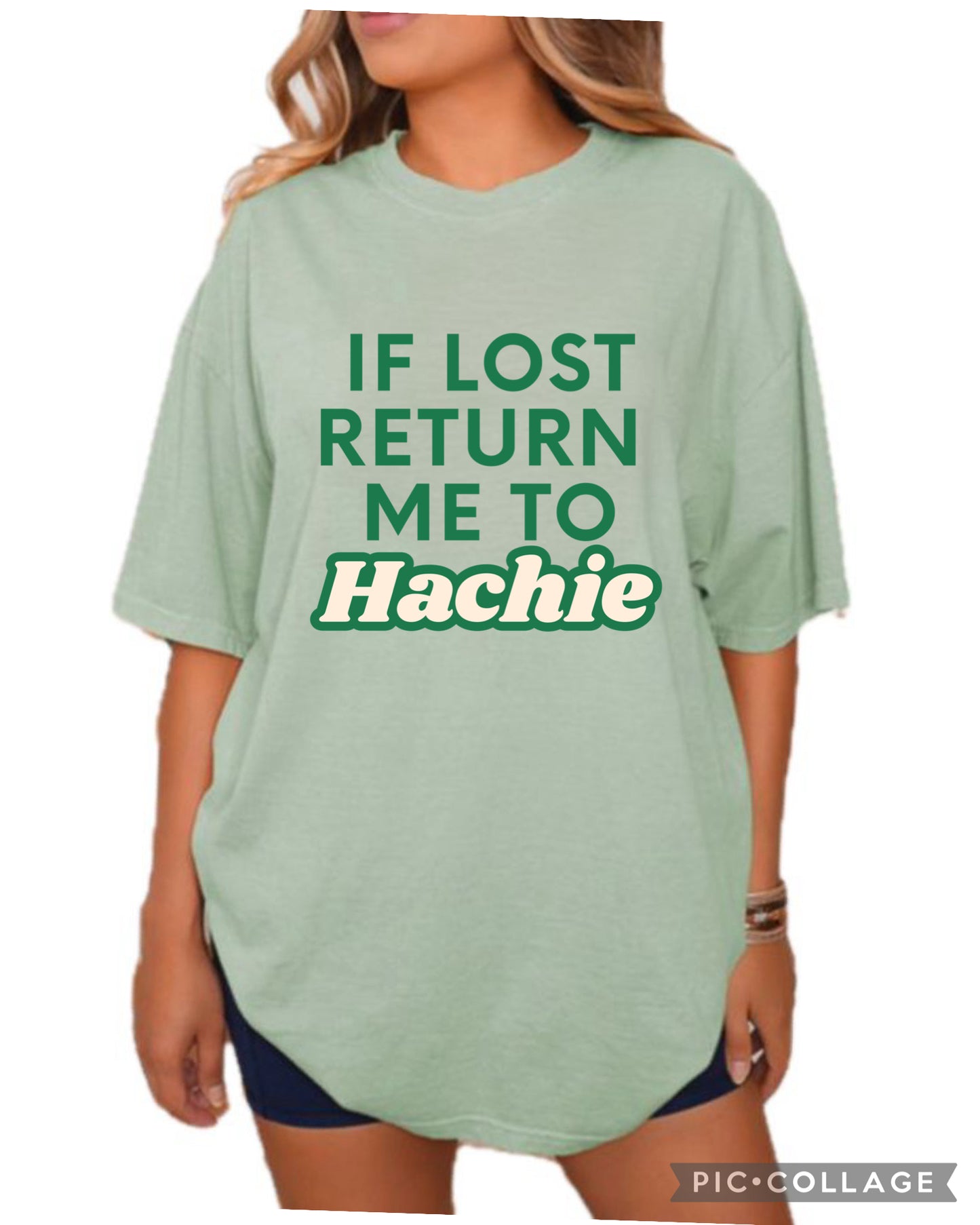 If found , return to hachie