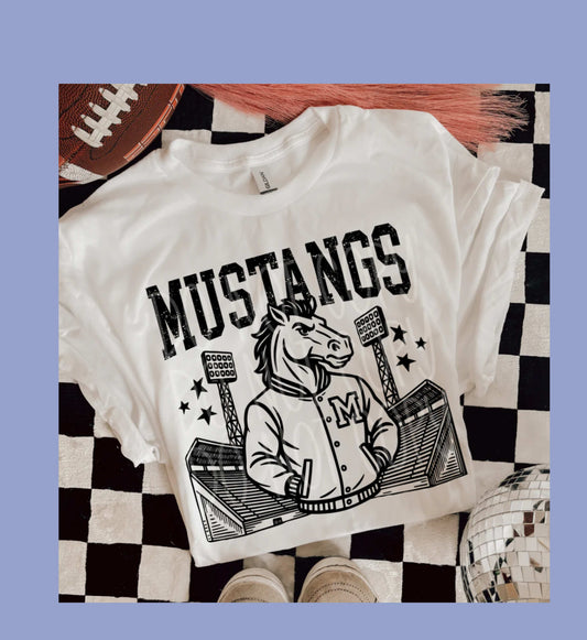 Mascot Stadium....Mustangs LIFESCHOOL