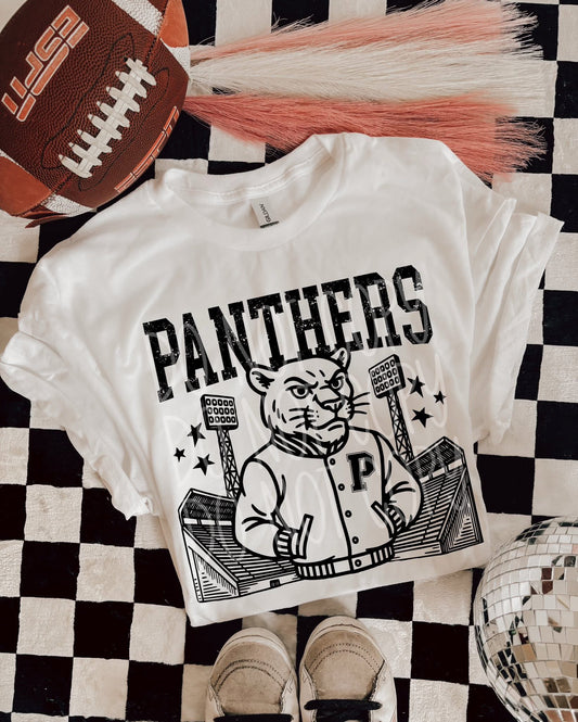 Mascot Stadium....PANTHERS