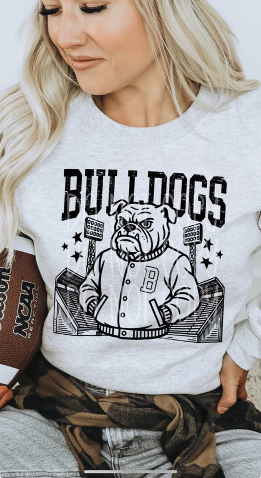Mascot Stadium....BULLDOGS