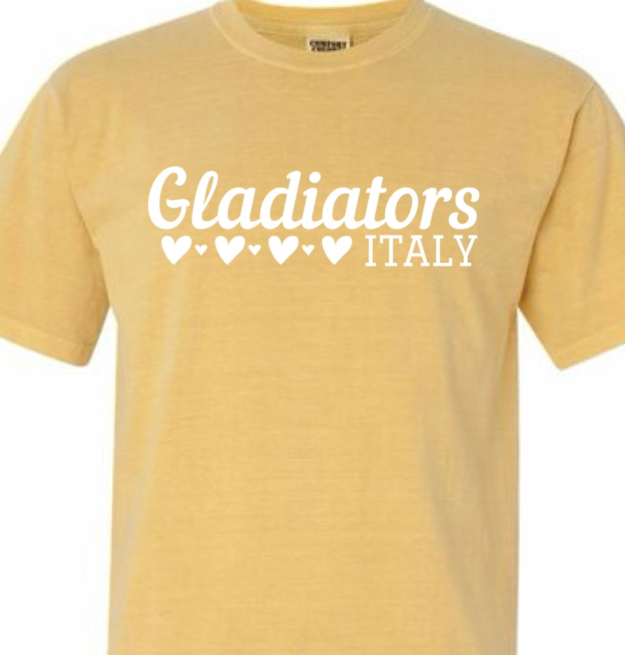 Any School and Mascot Tee