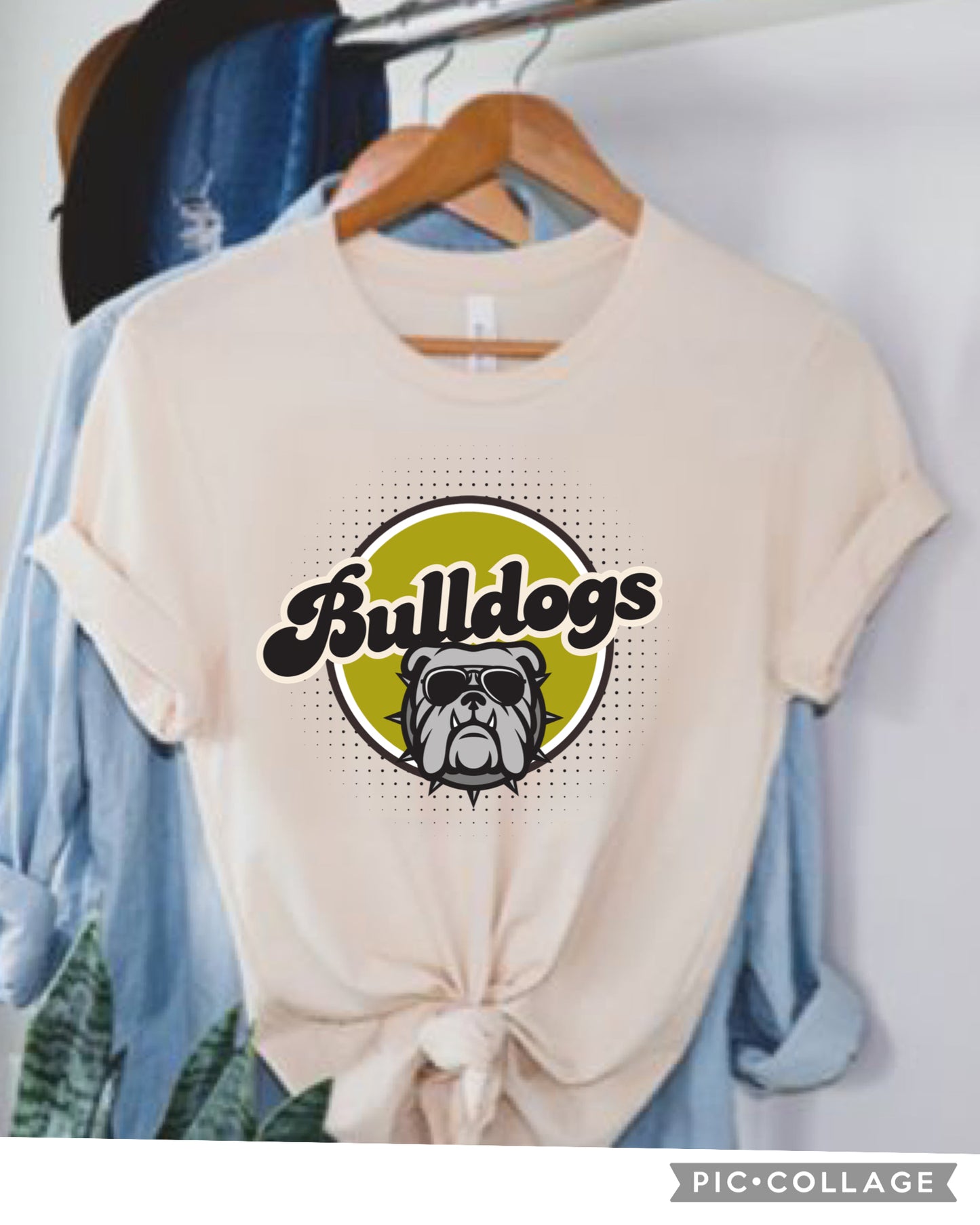Any team retro mascot