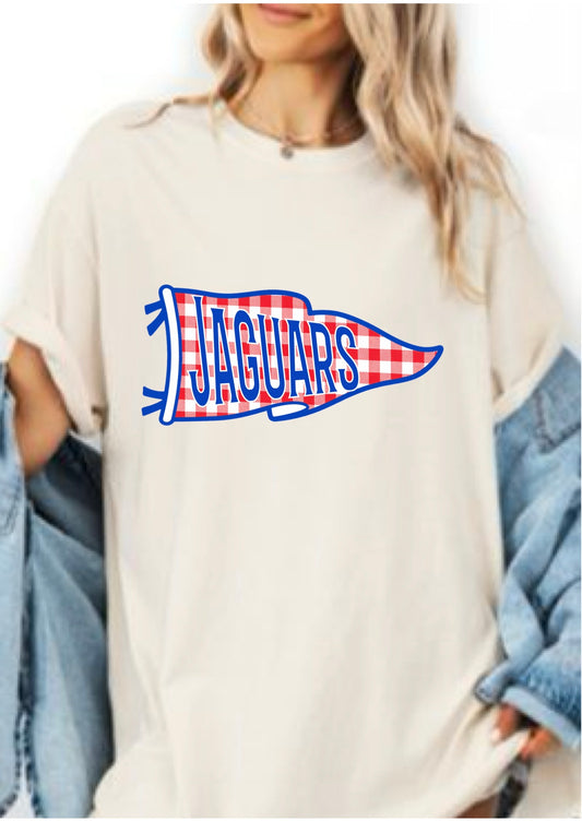 Any School Gingham Pennant