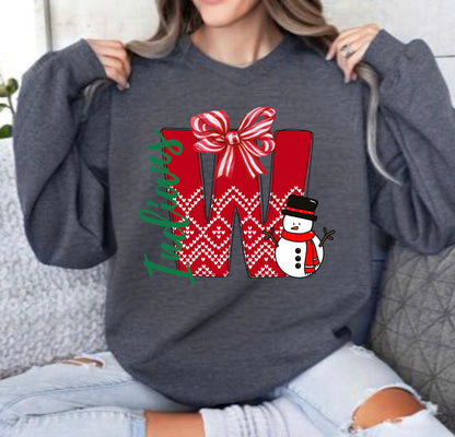 Any School/town/team Christmas Letter