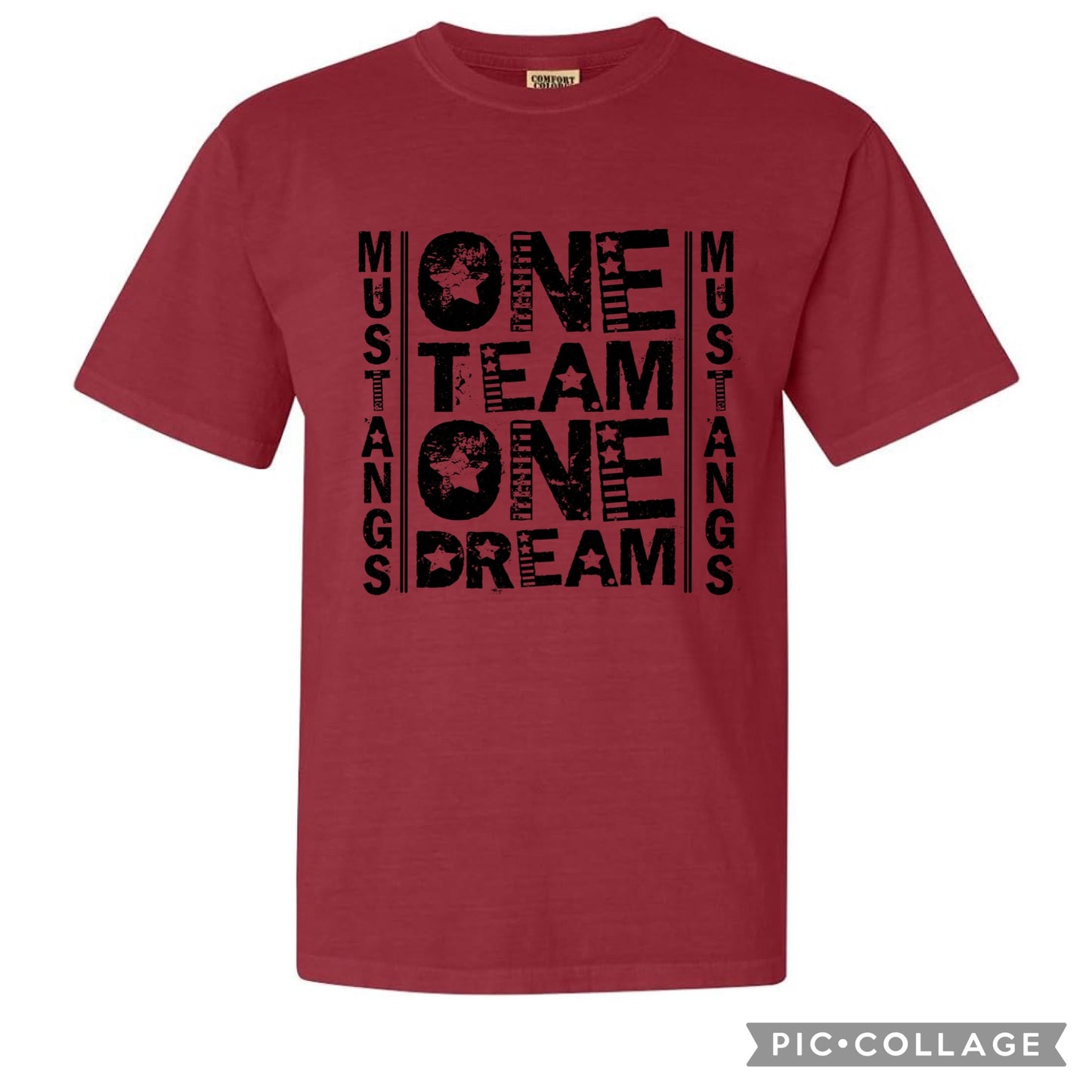 One Team One Dream Mascot Tee - only available in listed mascots.